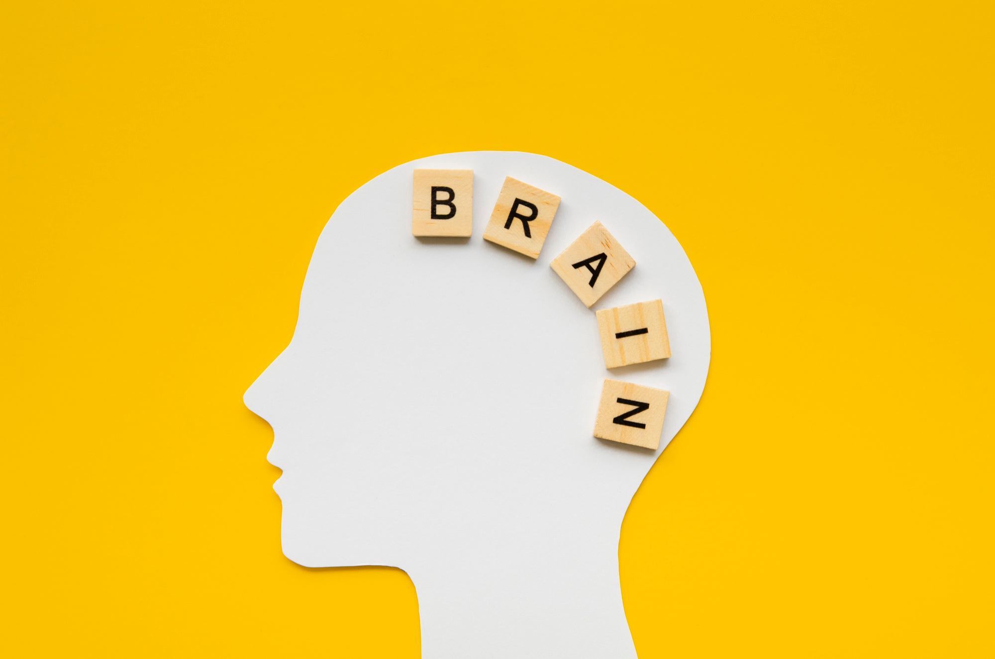 Brain (Photo: freepik) Brain